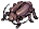 Thief Bug