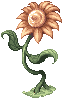 Yellow Flower