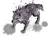 Grey Wolf