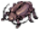 Solid Thief Bug