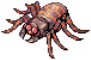 Furious Argos